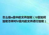 怎么给u盘中的文件加密（U盘如何加密怎样对U盘内的文件进行加密）