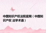 中国知识产权法院官网（中国知识产权 法学术语）