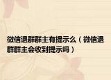 微信退群群主有提示么（微信退群群主会收到提示吗）