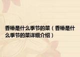 香椿是什么季节的菜（香椿是什么季节的菜详细介绍）