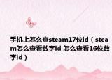 手机上怎么查steam17位id（steam怎么查看数字id 怎么查看16位数字id）