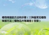 植物嫁接的方法和步骤（三种最常见植物嫁接方法（植物花卉等通用）芽接）