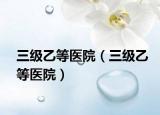 三级乙等医院（三级乙等医院）