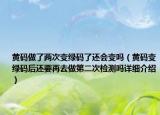 黄码做了两次变绿码了还会变吗（黄码变绿码后还要再去做第二次检测吗详细介绍）