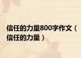 信任的力量800字作文（信任的力量）