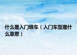 什么是入门级车（入门车型是什么意思）