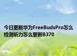 今日更新华为FreeBudsPro怎么检测听力怎么更新B370