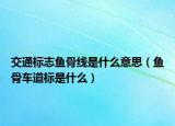 交通标志鱼骨线是什么意思（鱼骨车道标是什么）