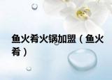 鱼火肴火锅加盟（鱼火肴）