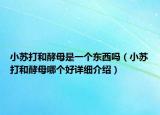 小苏打和酵母是一个东西吗（小苏打和酵母哪个好详细介绍）