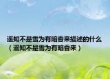 遥知不是雪为有暗香来描述的什么（遥知不是雪为有暗香来）