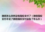 微信怎么突然没有指纹支付了（微信指纹支付不见了微信指纹支付没有了怎么办）