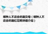 哪种人不适合吃藏贝母（哪种人不适合吃藏红花呢详细介绍）