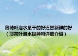 薄荷叶泡水是干的好还是新鲜的好（薄荷叶泡水提神吗详细介绍）