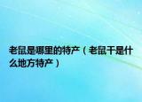 老鼠是哪里的特产（老鼠干是什么地方特产）