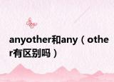 anyother和any（other有区别吗）