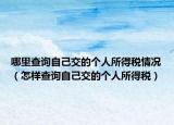 哪里查询自己交的个人所得税情况（怎样查询自己交的个人所得税）