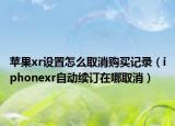 苹果xr设置怎么取消购买记录（iphonexr自动续订在哪取消）