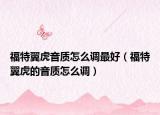 福特翼虎音质怎么调最好（福特翼虎的音质怎么调）