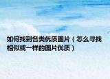 如何找到各类优质图片（怎么寻找相似或一样的图片优质）