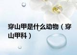 穿山甲是什么动物（穿山甲科）