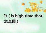 It（is high time that.怎么用）