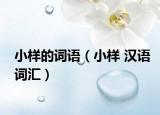 小样的词语（小样 汉语词汇）