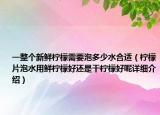 一整个新鲜柠檬需要泡多少水合适（柠檬片泡水用鲜柠檬好还是干柠檬好呢详细介绍）