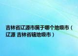 吉林省辽源市属于哪个地级市（辽源 吉林省辖地级市）
