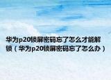 华为p20锁屏密码忘了怎么才能解锁（华为p20锁屏密码忘了怎么办）