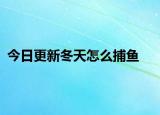 今日更新冬天怎么捕鱼