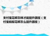 支付宝花呗怎样才能提升额度（支付宝蚂蚁花呗怎么提升额度）