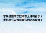 苹果设置动态壁纸怎么才有音乐（手机怎么设置带音乐的动态壁纸）