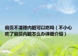 扇贝不清理内脏可以吃吗（不小心吃了扇贝内脏怎么办详细介绍）