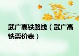 武广高铁路线（武广高铁票价表）