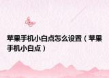 苹果手机小白点怎么设置（苹果手机小白点）