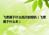 飞思属于什么档次的相机（飞思属于什么车）