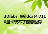 3Dlabs  Wildcat4 7110显卡玩不了魔兽世界