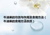 牛油果的功效与作用及食用方法（牛油果的食用方法优质）