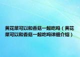 黄花菜可以和香菇一起吃吗（黄花菜可以和香菇一起吃吗详细介绍）