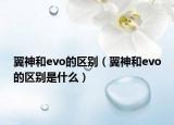 翼神和evo的区别（翼神和evo的区别是什么）