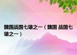 魏国战国七雄之一（魏国 战国七雄之一）