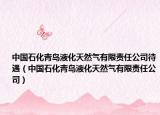 中国石化青岛液化天然气有限责任公司待遇（中国石化青岛液化天然气有限责任公司）