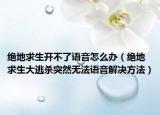 绝地求生开不了语音怎么办（绝地求生大逃杀突然无法语音解决方法）