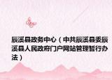 辰溪县政务中心（中共辰溪县委辰溪县人民政府门户网站管理暂行办法）
