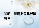 我的小黄蜂不会扎根请解决