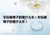 车标像棍子的是什么车（车标像棍子的是什么车）