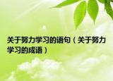 关于努力学习的语句（关于努力学习的成语）