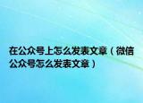 在公众号上怎么发表文章（微信公众号怎么发表文章）