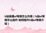 b站直播ul等级怎么升级（b站ul等级怎么提升 如何提升b站ul等级介绍）
